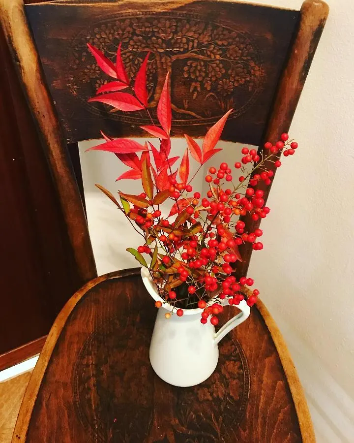 Bed And Breakfast D&D Cardano Al Campo 0*,  Ιταλία